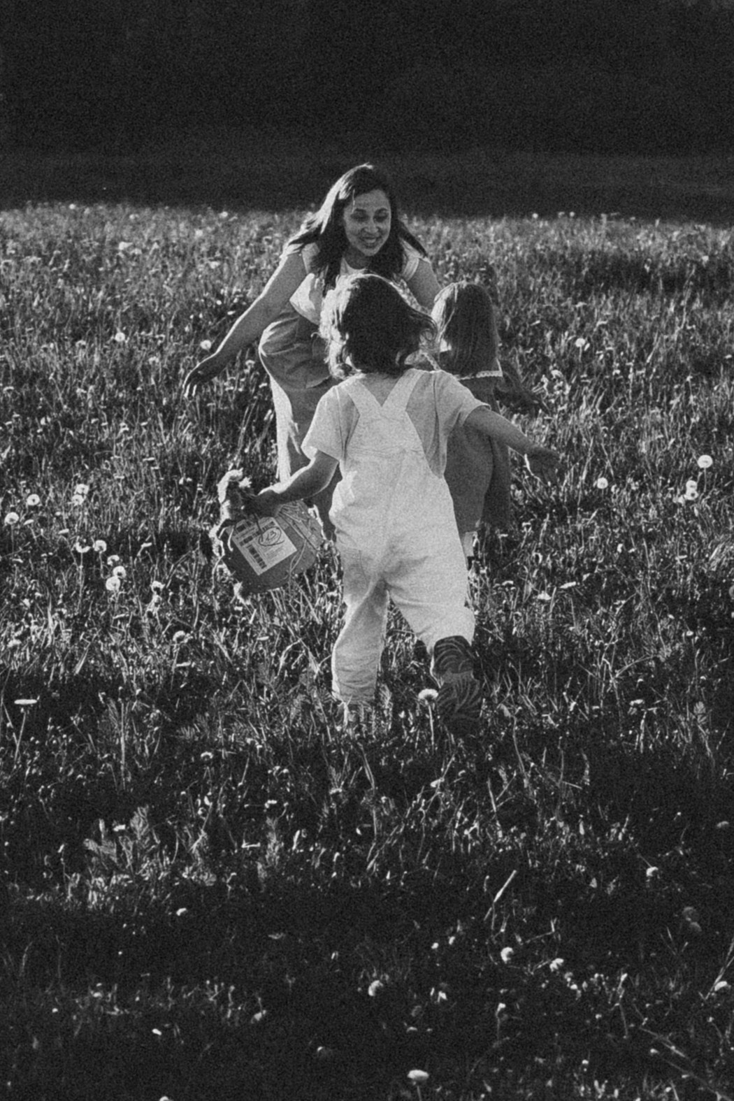 Солнечные львята. Фотограф Москва Светлана Кирюшина