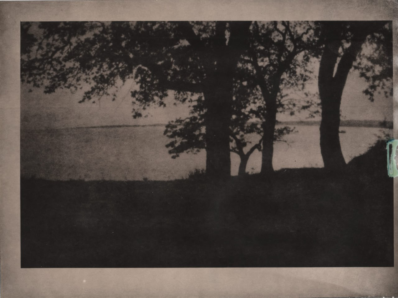 Фото-альтернатива. Данил Андреев, мультидисциплинарный художник, Санкт-Петербург