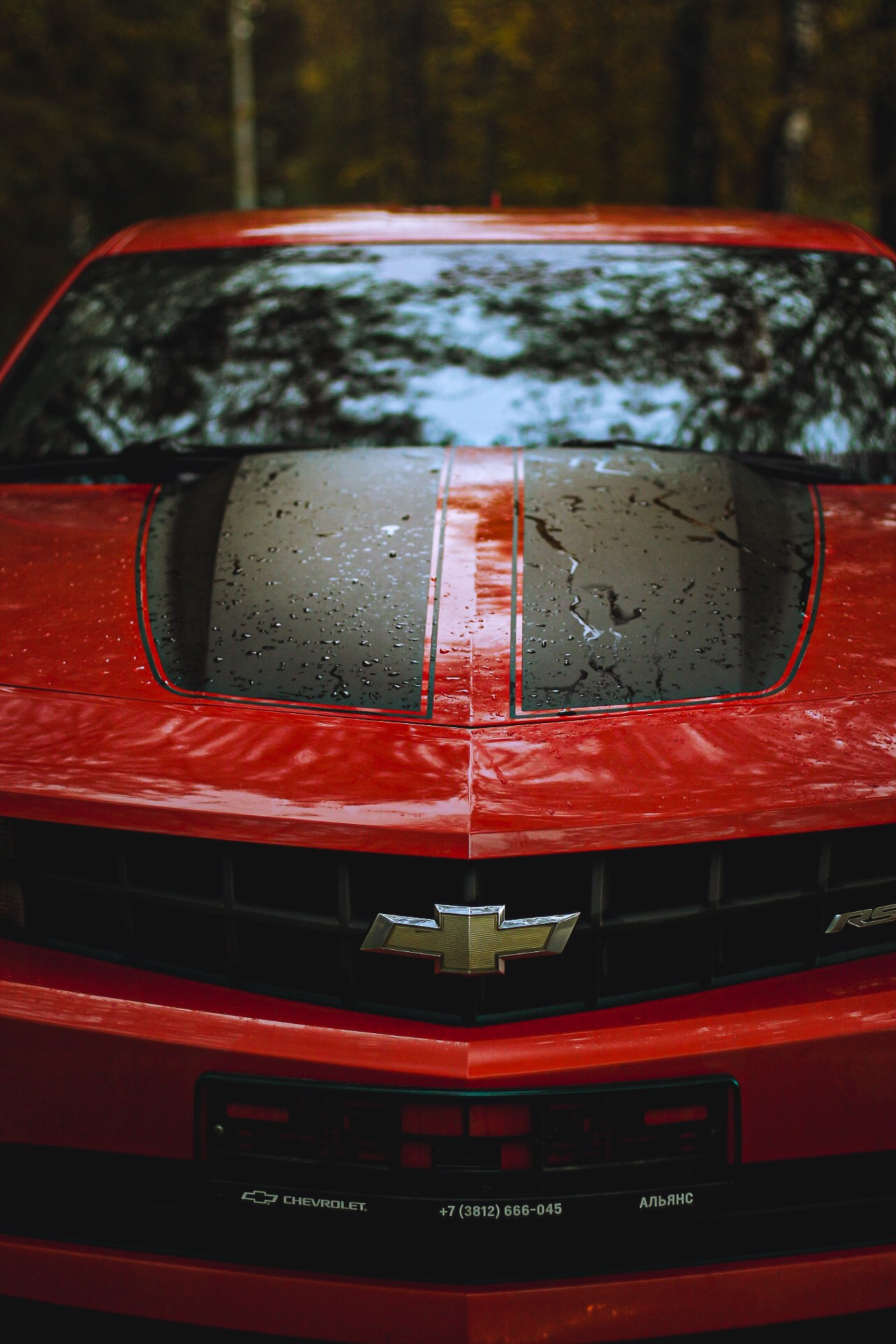 Cars. Фотограф Ксюша Костюченко