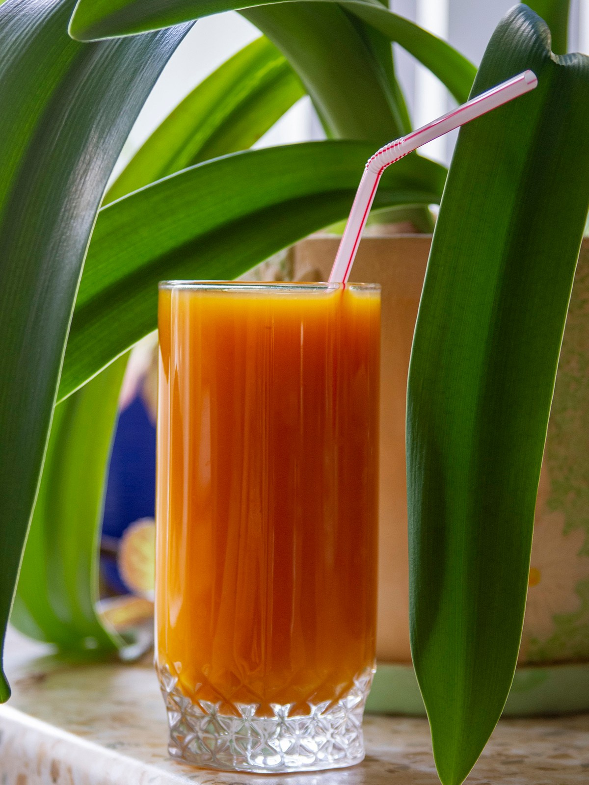 Предметные фото. Монохромный фотограф