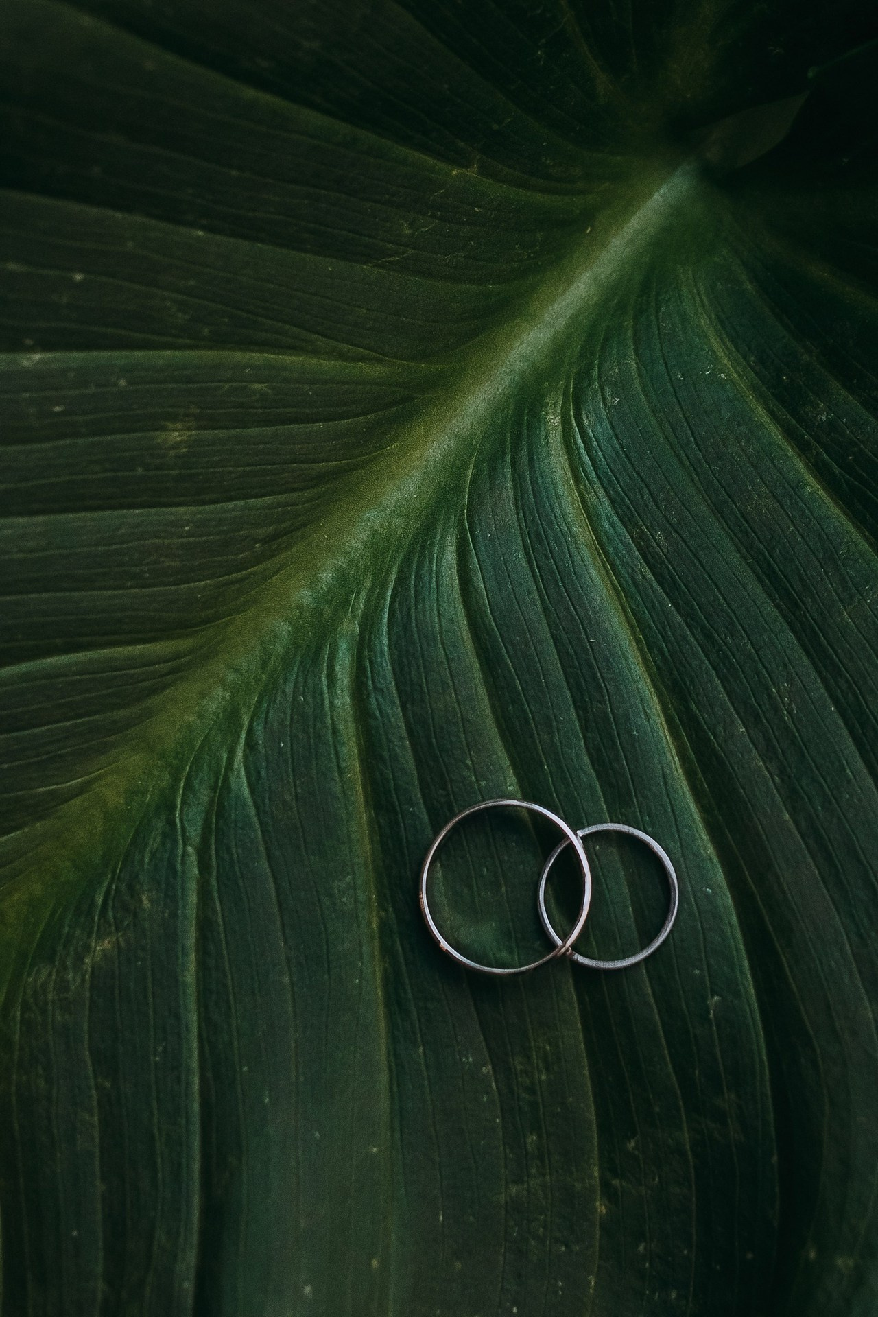 Отзывы. Портретный и свадебный фотограф в Воронеже Елена Михайлова