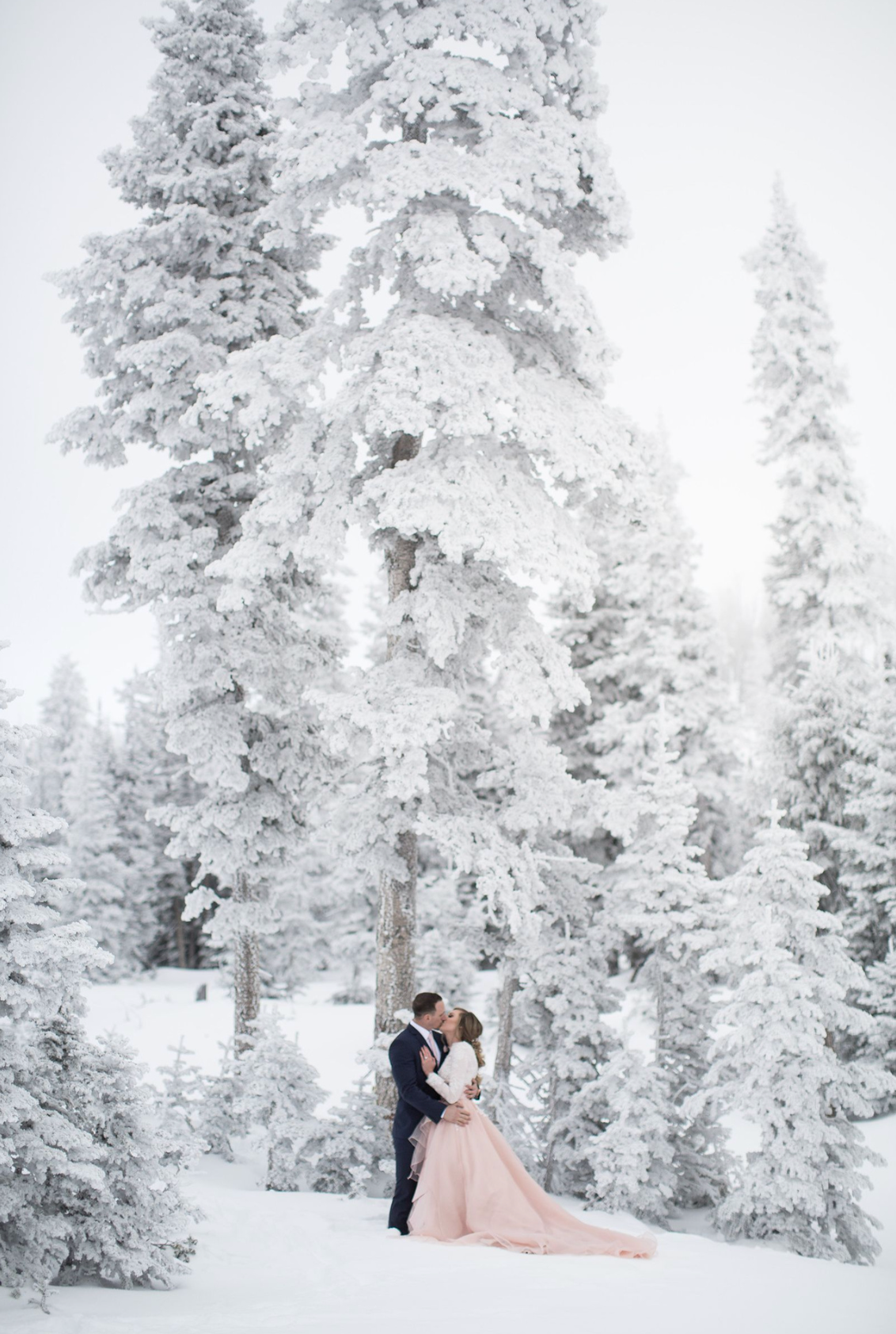 Свадьба зимой. Свадебный фотограф/видеограф Краснодар, Сочи, Волгоград, Москва, 8 937 693 00 80