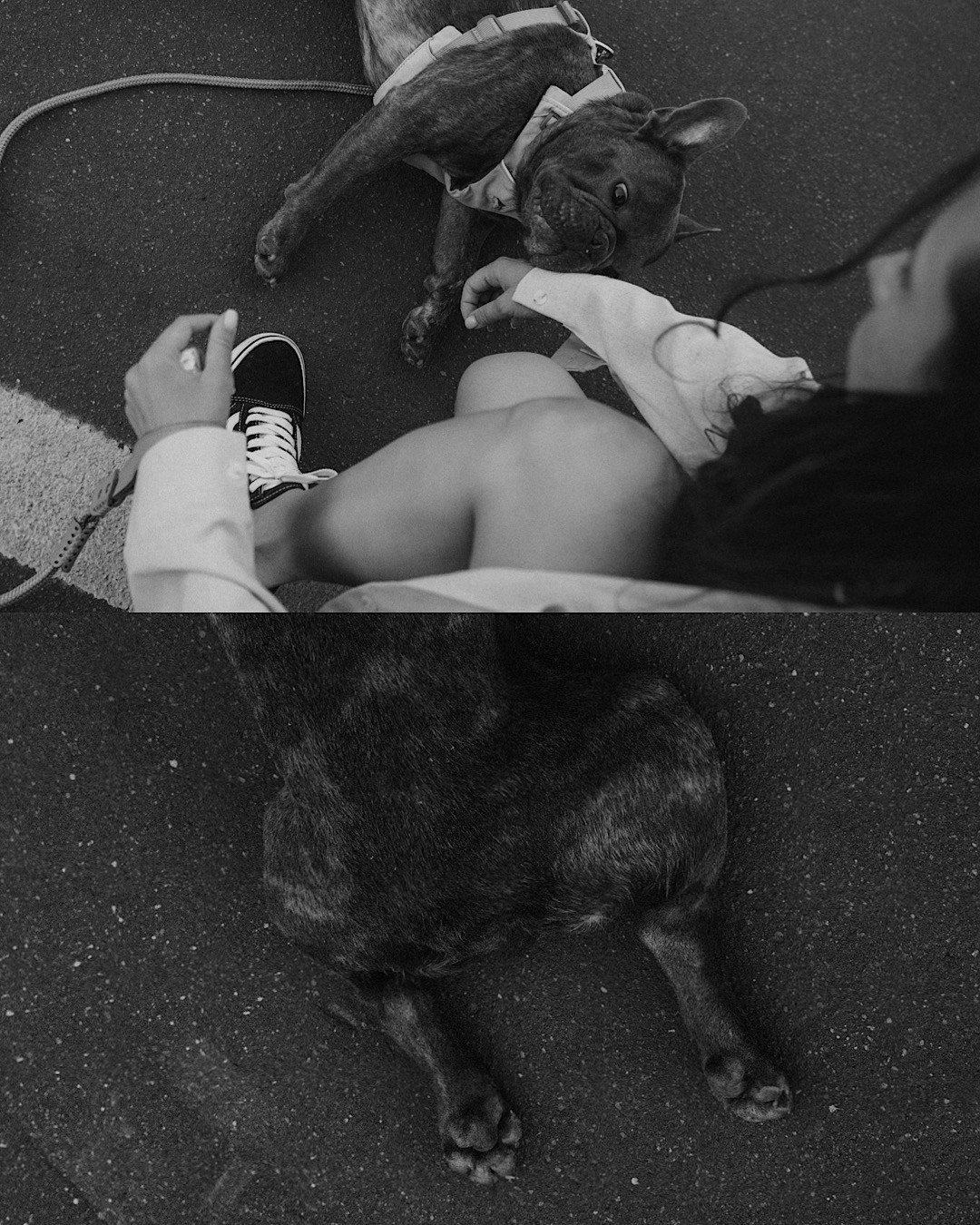 Аня и Чак. Фотограф анималист в Москве и Санкт-Петербурге Свиридова Анна