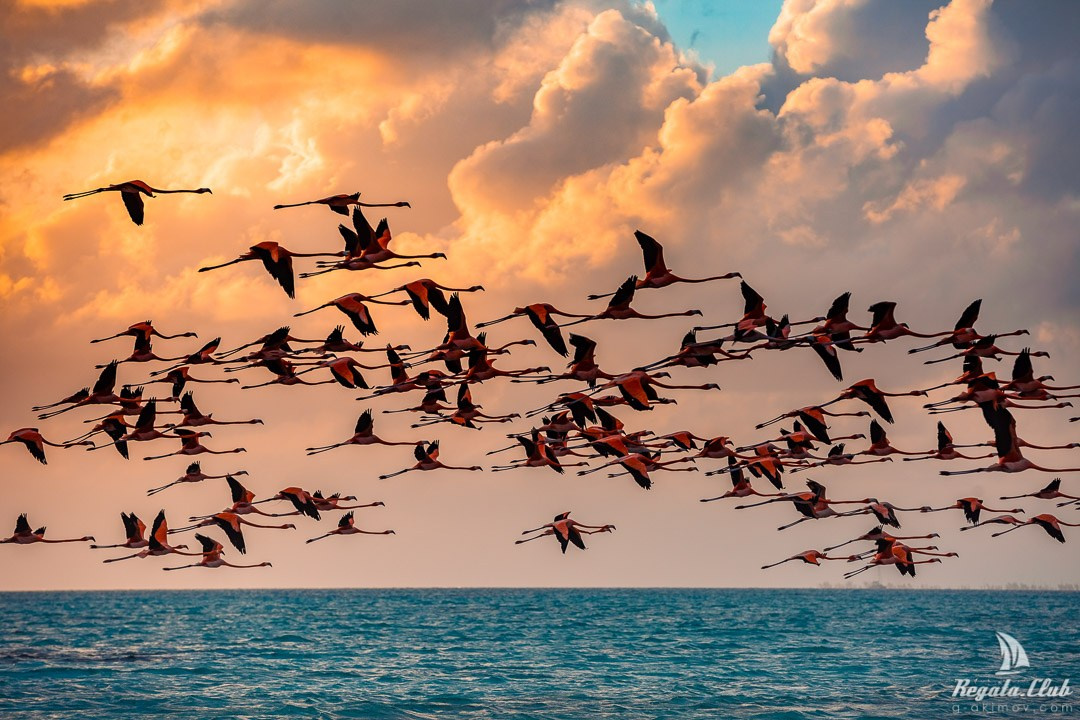 ЯХТЫ / МОРЕ / ПУТЕШЕСТВИЯ. Сложная съёмка для бизнеса b2b / Яхтенный фотограф / Корпоративные календари / Промышленная съёмка / Спортивный репортаж