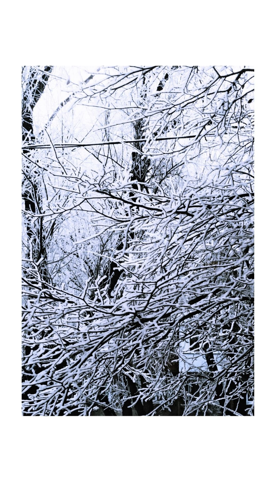 Зима по-сибирски. Главная