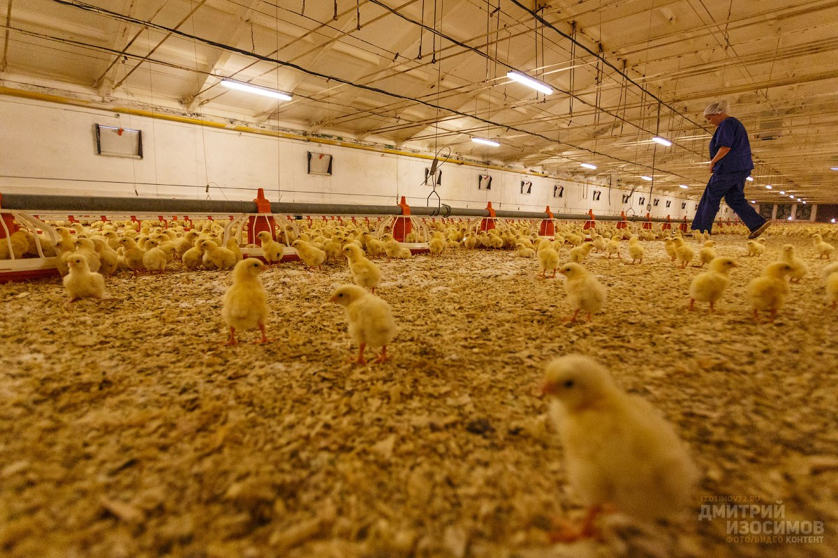 Съёмка на производстве