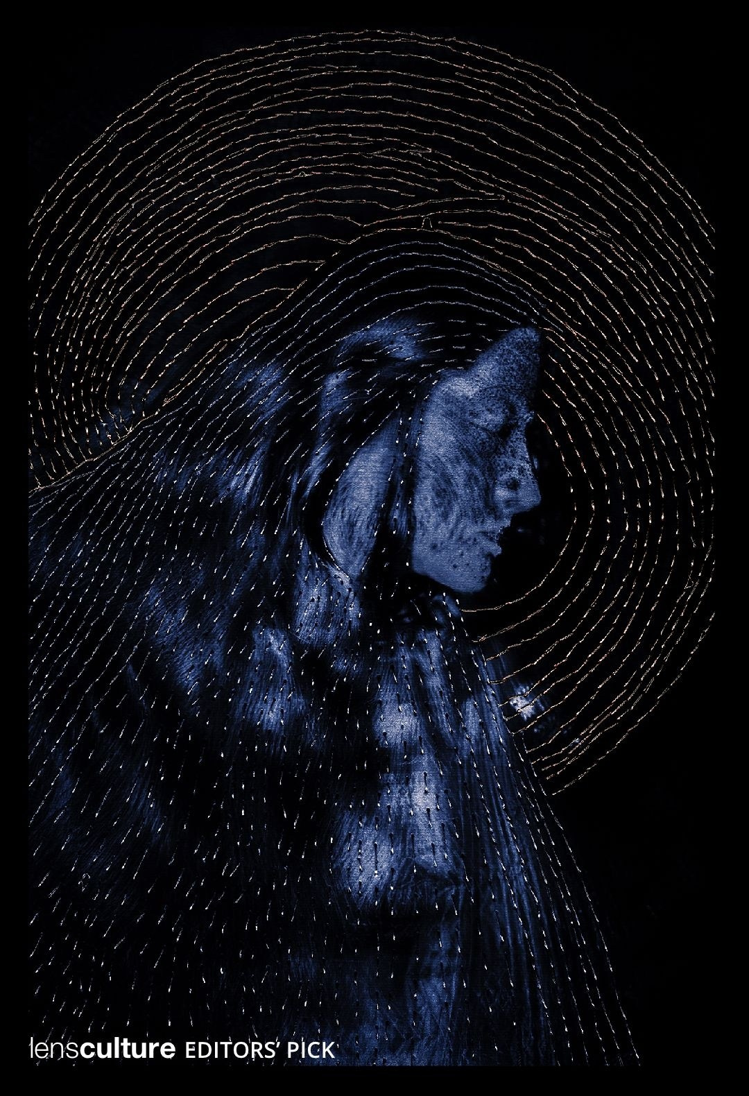 LENSCULTURE. Междисциплинарный художник Екатерина Старовойтова