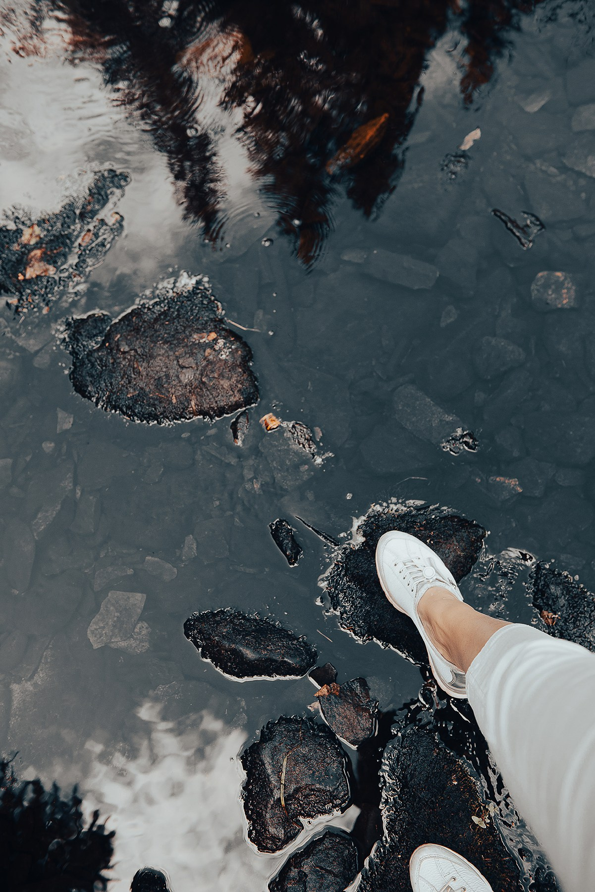 Карелия. Фотограф-анималист Наталья Светличная