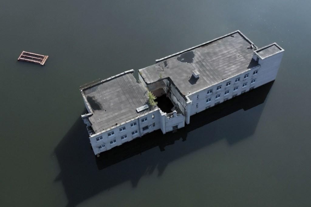 The city of white birches. Vita Stroganova