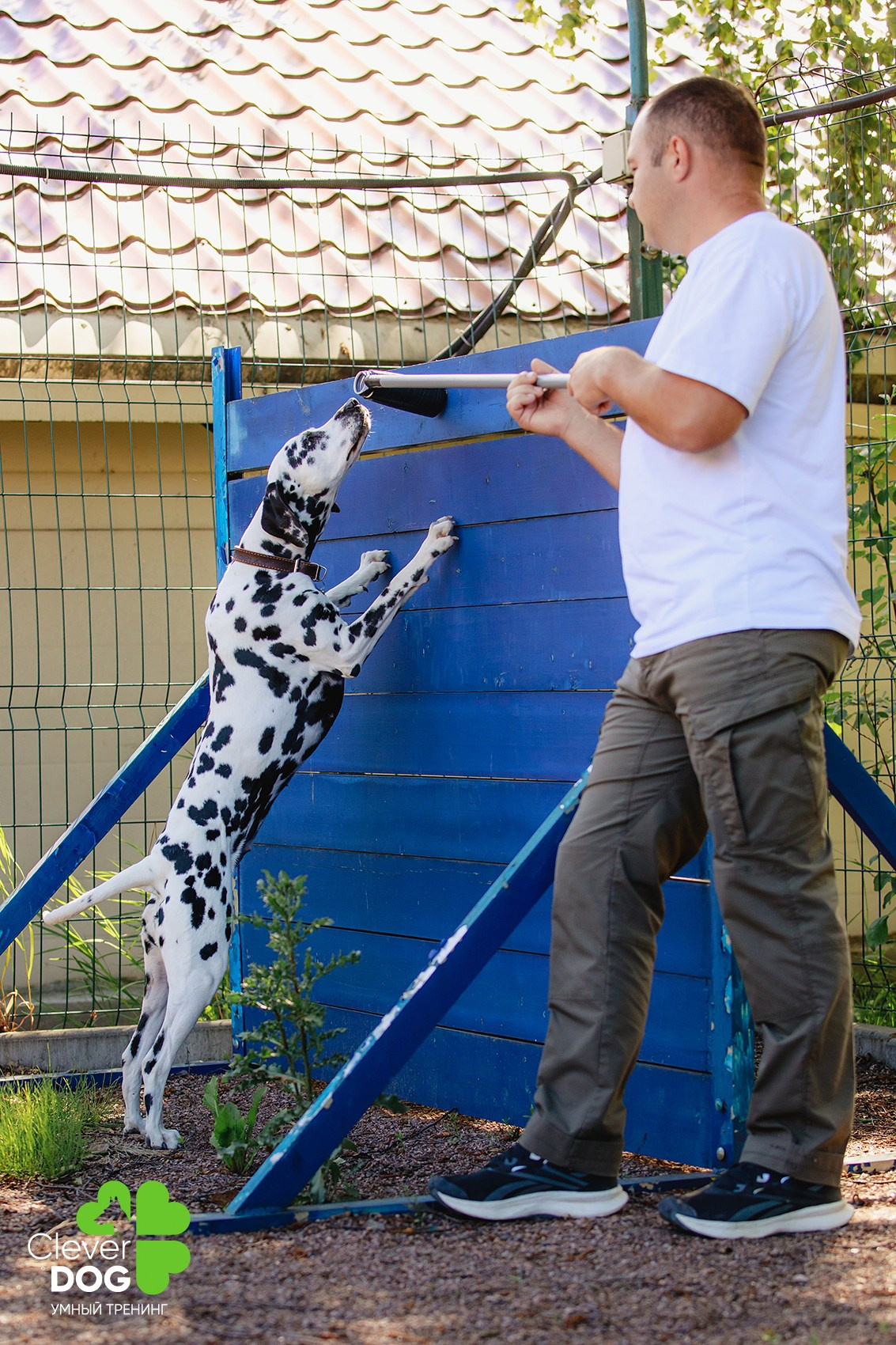 Семинар по поиску запаха с Иваном Ломовым, организатор CleverDog, СПб. Фотограф-анималист Mary Mart — Москва, Питер