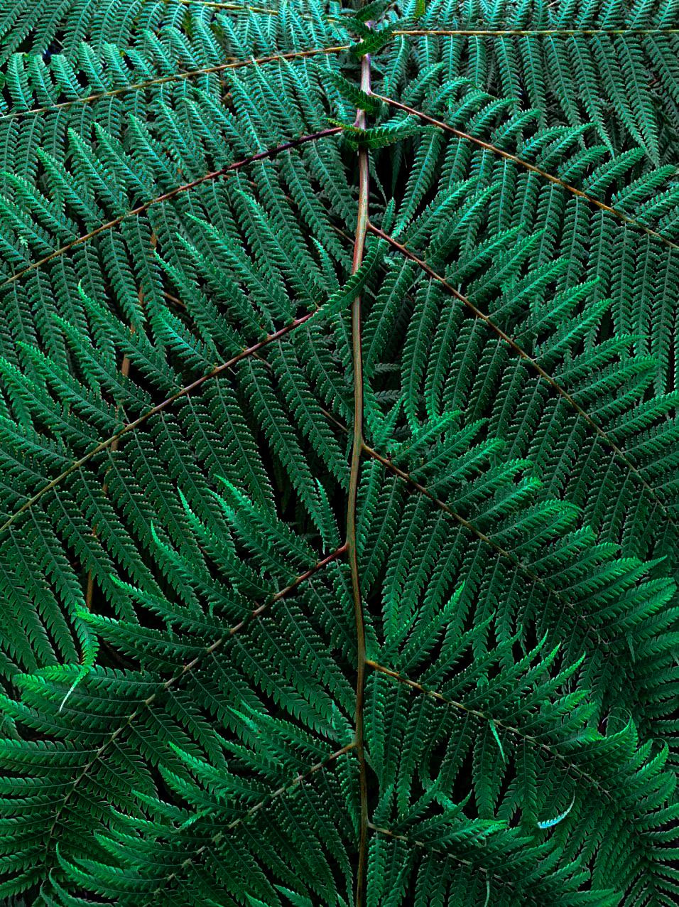 Фото для наслаждения. Фотограф и ретушер в Москве