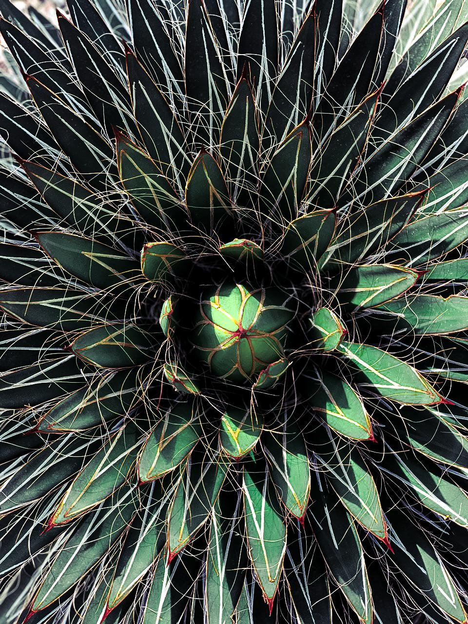 Фото для наслаждения. Фотограф и ретушер в Москве