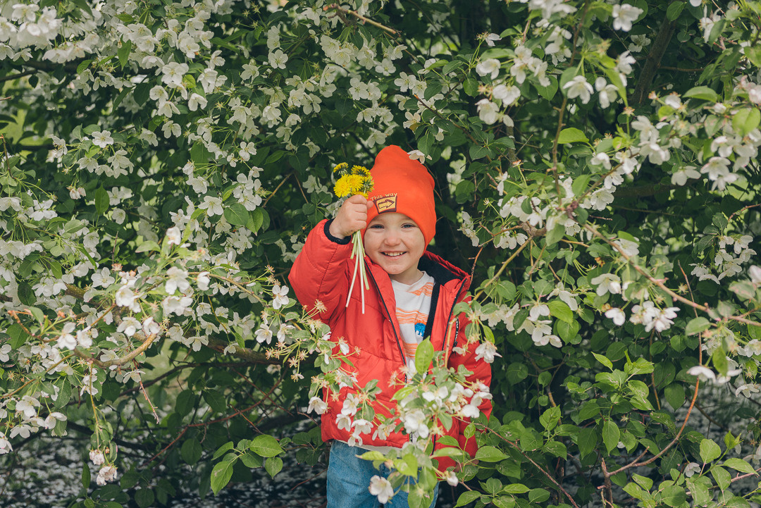 Семейная фотосессия в яблонях. Сакура Казань