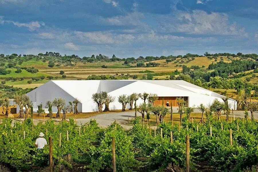 L’And Vineyards Португалия. Фотограф для маркетплейсов Михаил Бове