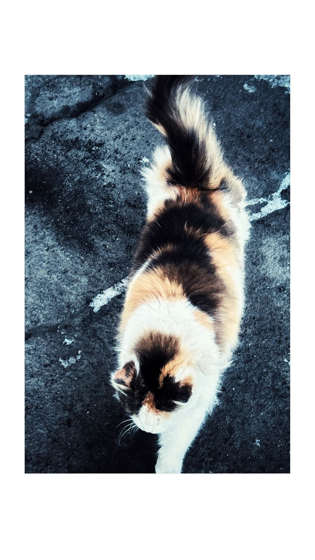 Зима по-сибирски. Главная