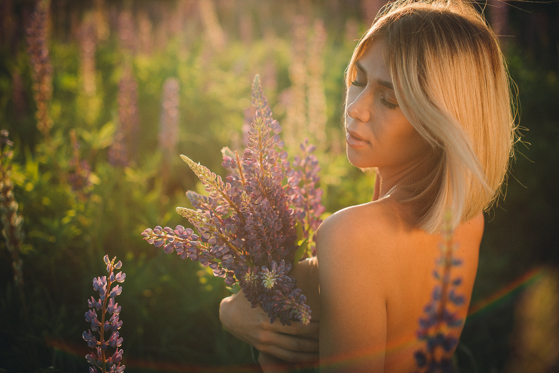 Закат в люпинах