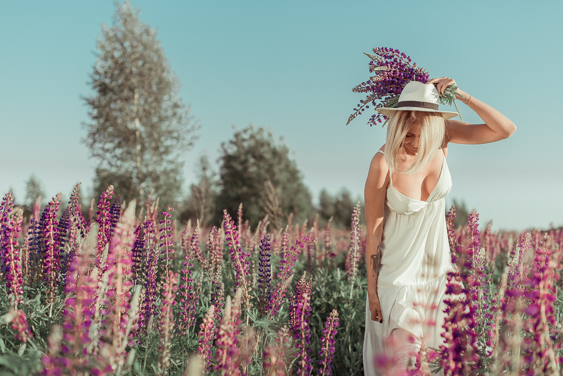 Закат в люпинах