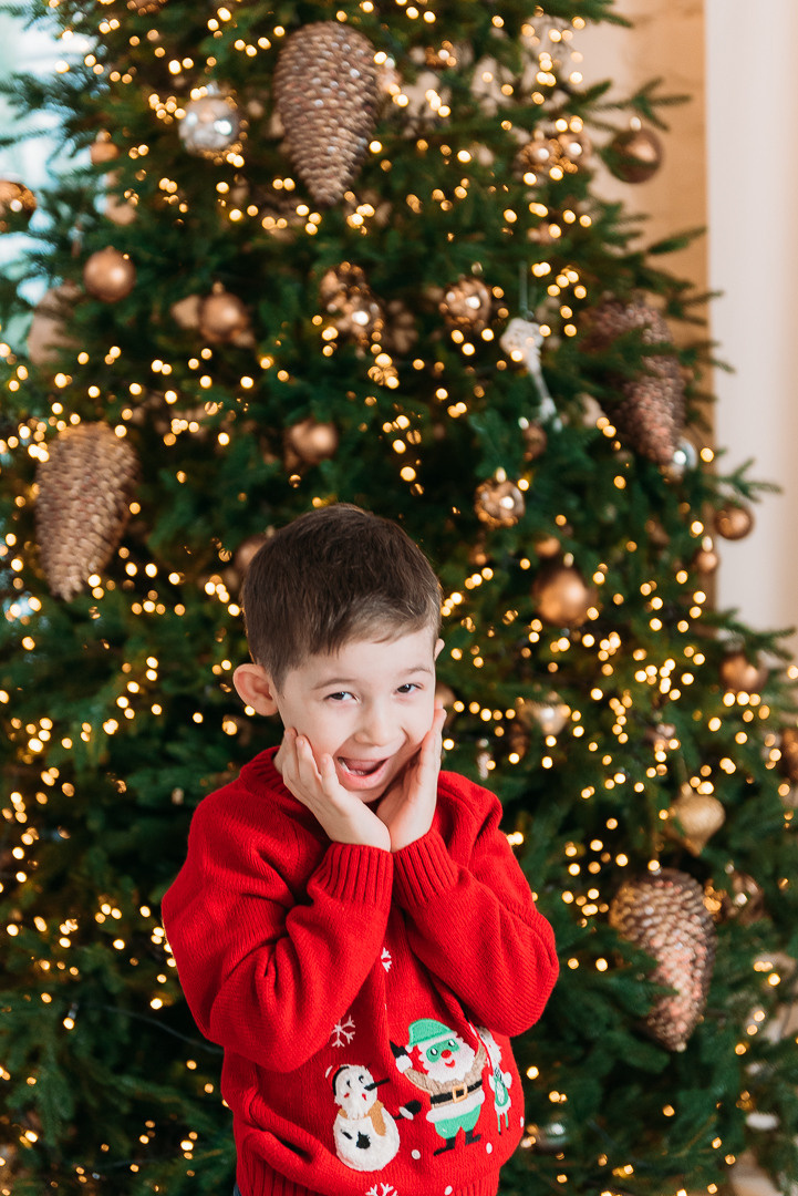 В ожидании Нового года