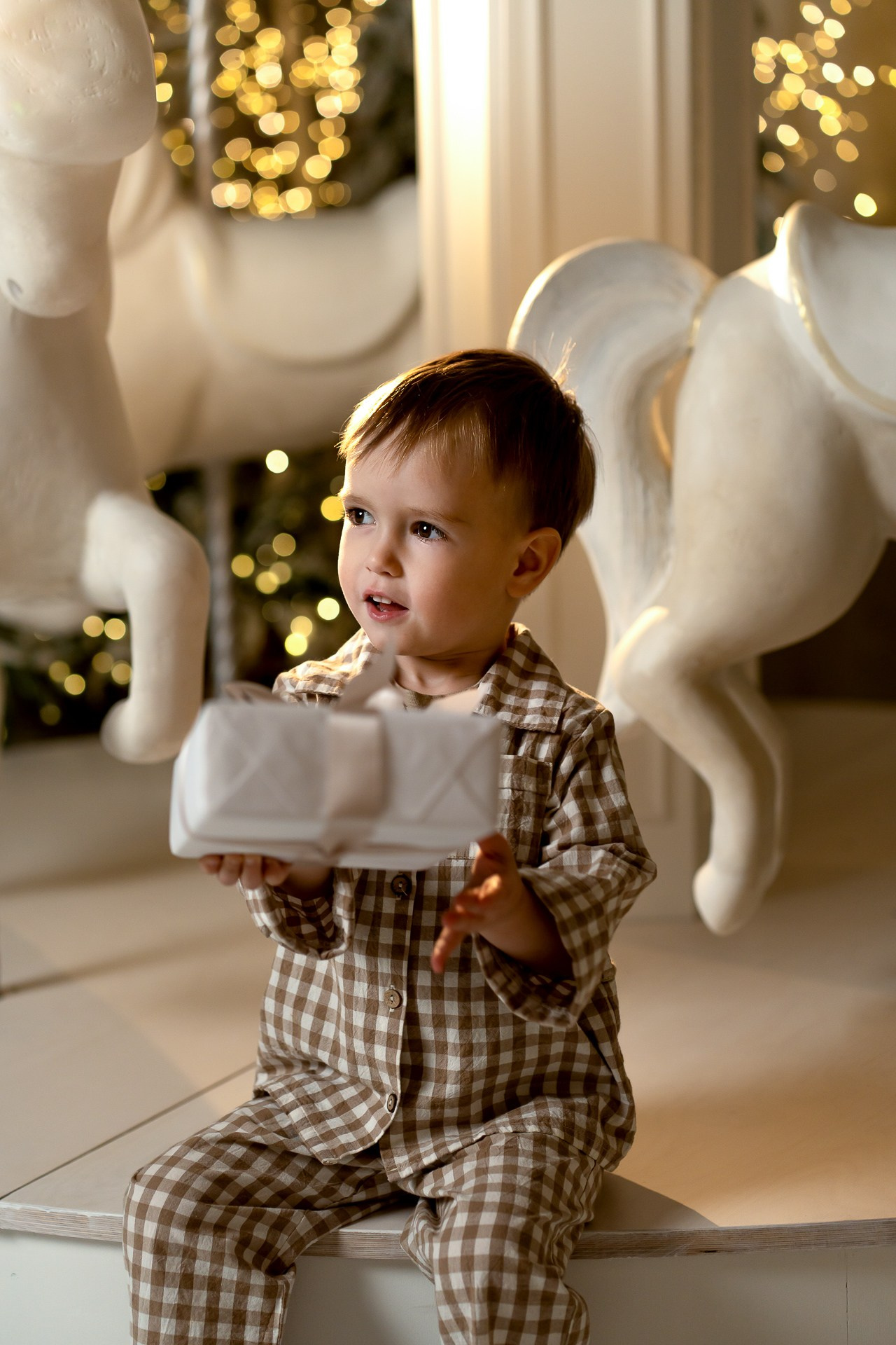 Лешик. Фотограф в Красноярске. Юлия Чаушанская