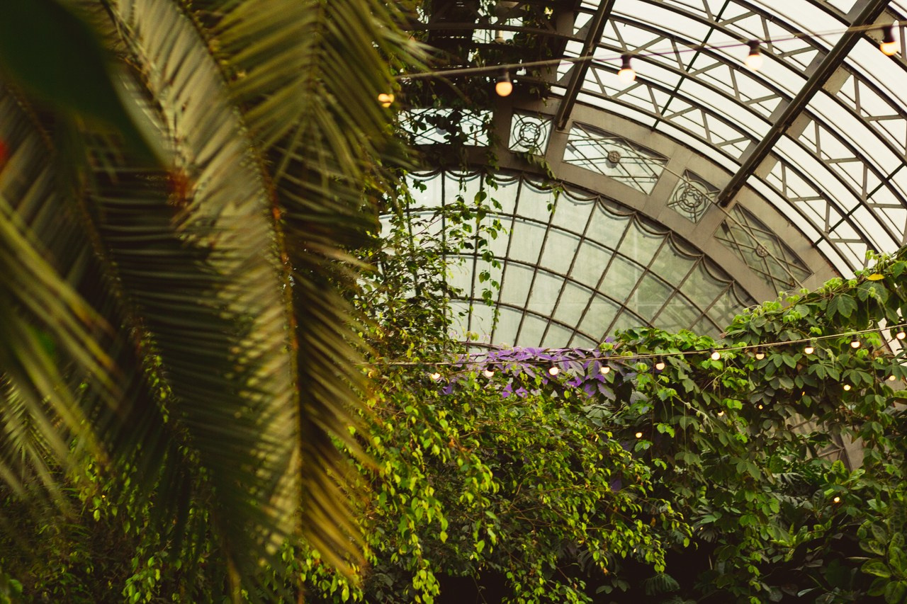 Petro Art — квартет в Таврическом саду (Рок Хиты). EvgenyCraft