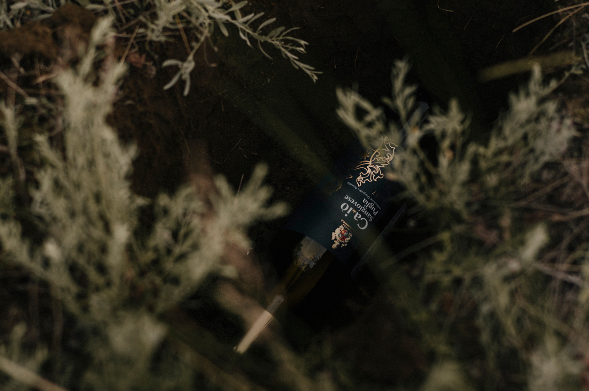 Синенькие). Фотограф Катерина Тюрина. Саратов