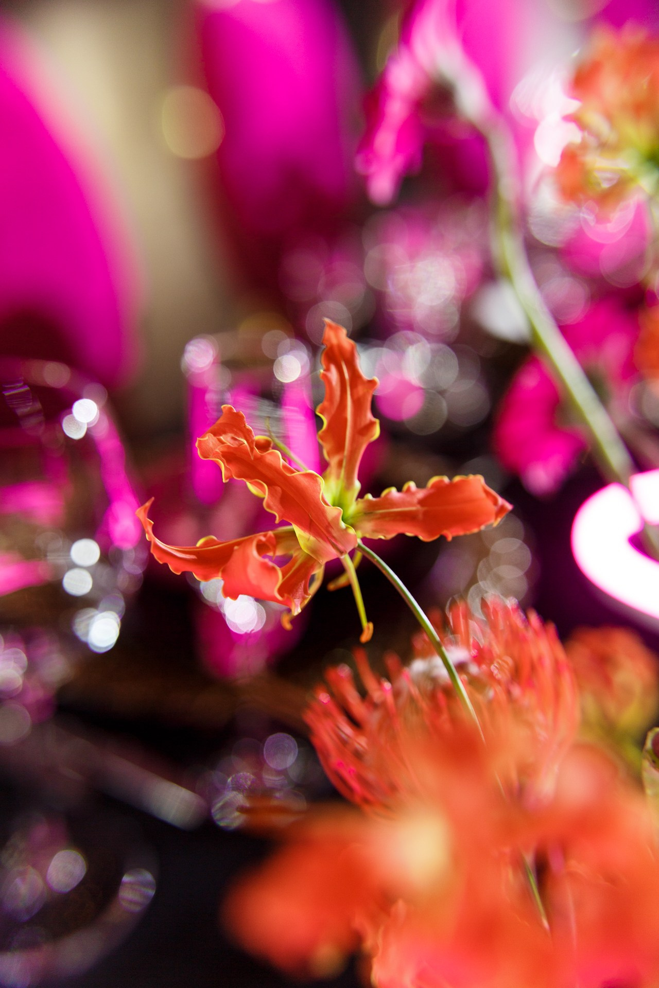 Pink neon. Свадебный фотограф в Санкт-Петербурге Наталья Вендт