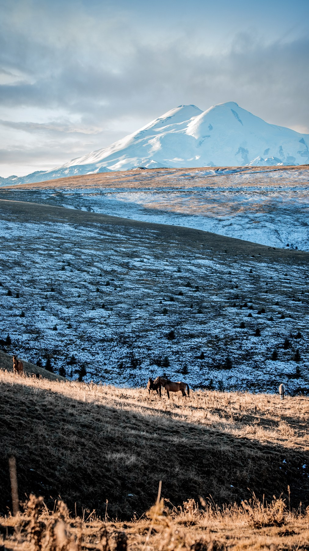 Карачаево-Черкесия '23. BrisArts