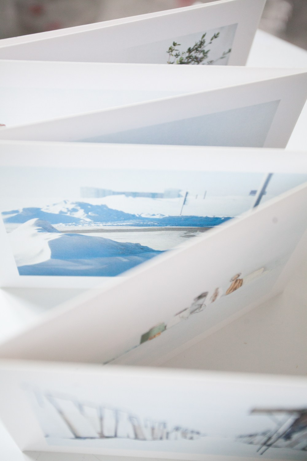 Art books. Янина болдырева Yanina Boldyreva