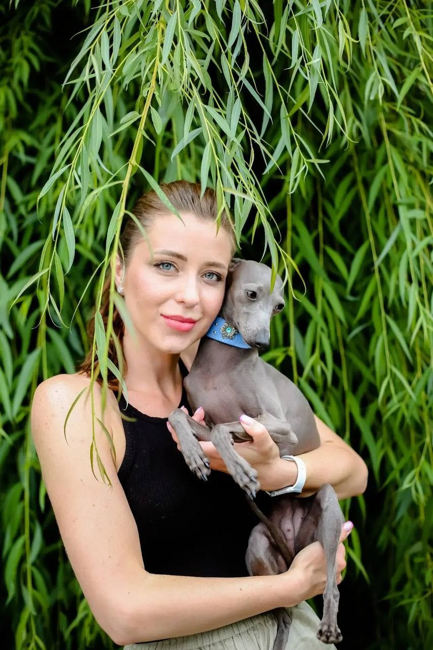 Asti Sapphire Eveline Fler-De-Lys. Профессиональный питомник левреток РКФ/FCI ASTI SAPPHIRE 💎 Сочи|Санкт-Петербург