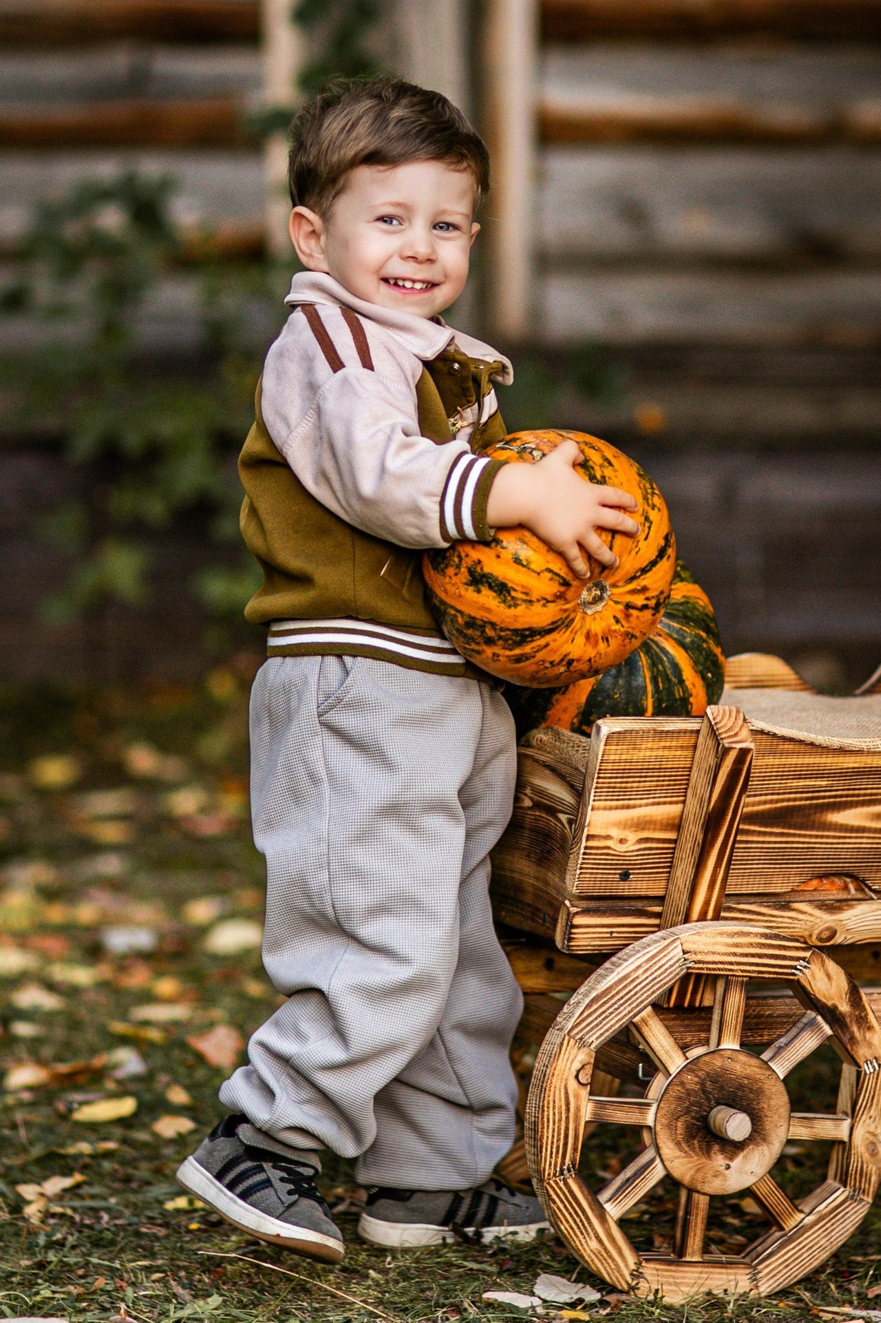 Осенние. Фотограф Елена Вишневская (Ушакова) Нефтеюганск, Сургут, Тюмень