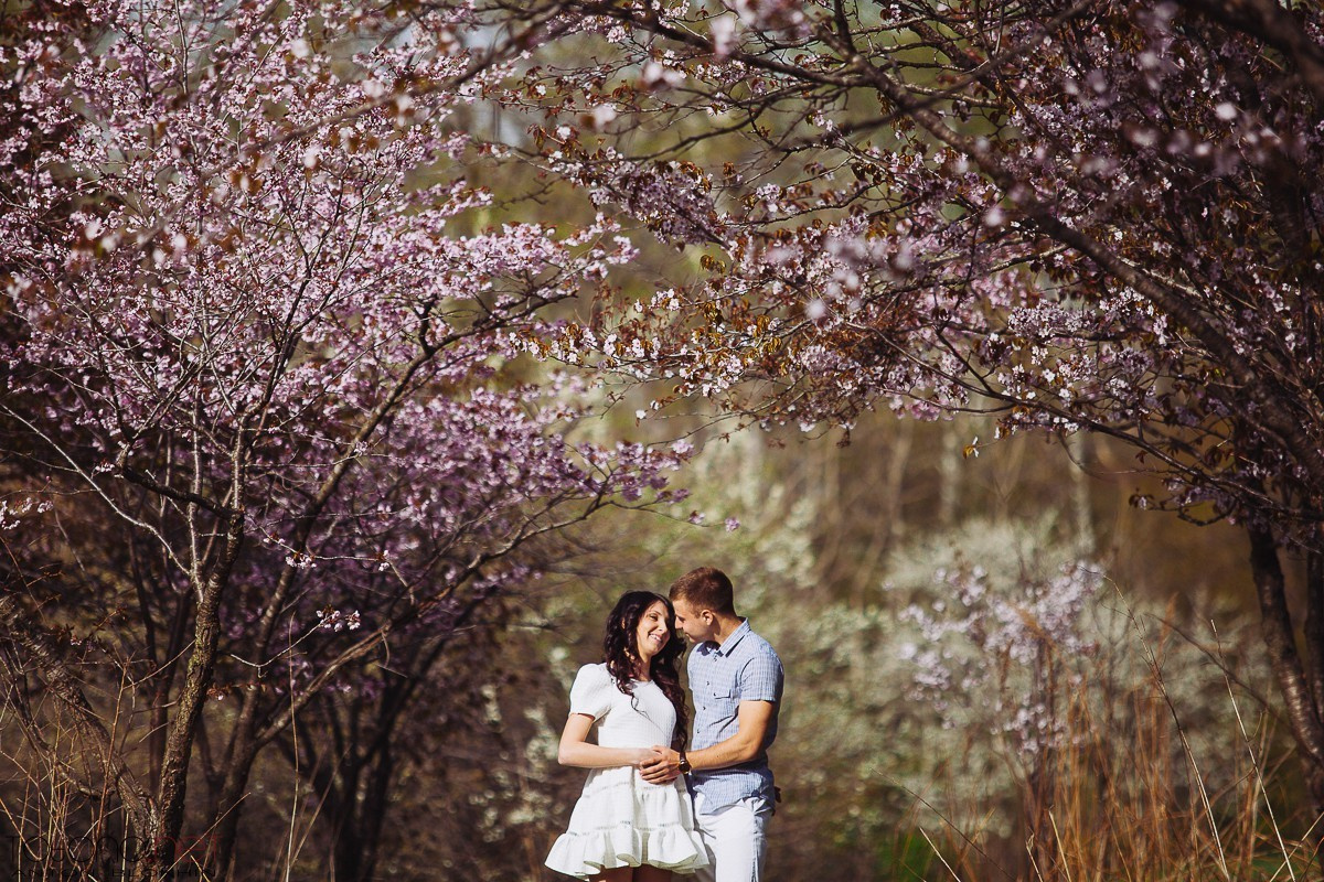 КОГДА ЯБЛОНИ ЦВЕТУТ). Wedding and family photographer in Vladivostok Anton Blokhin