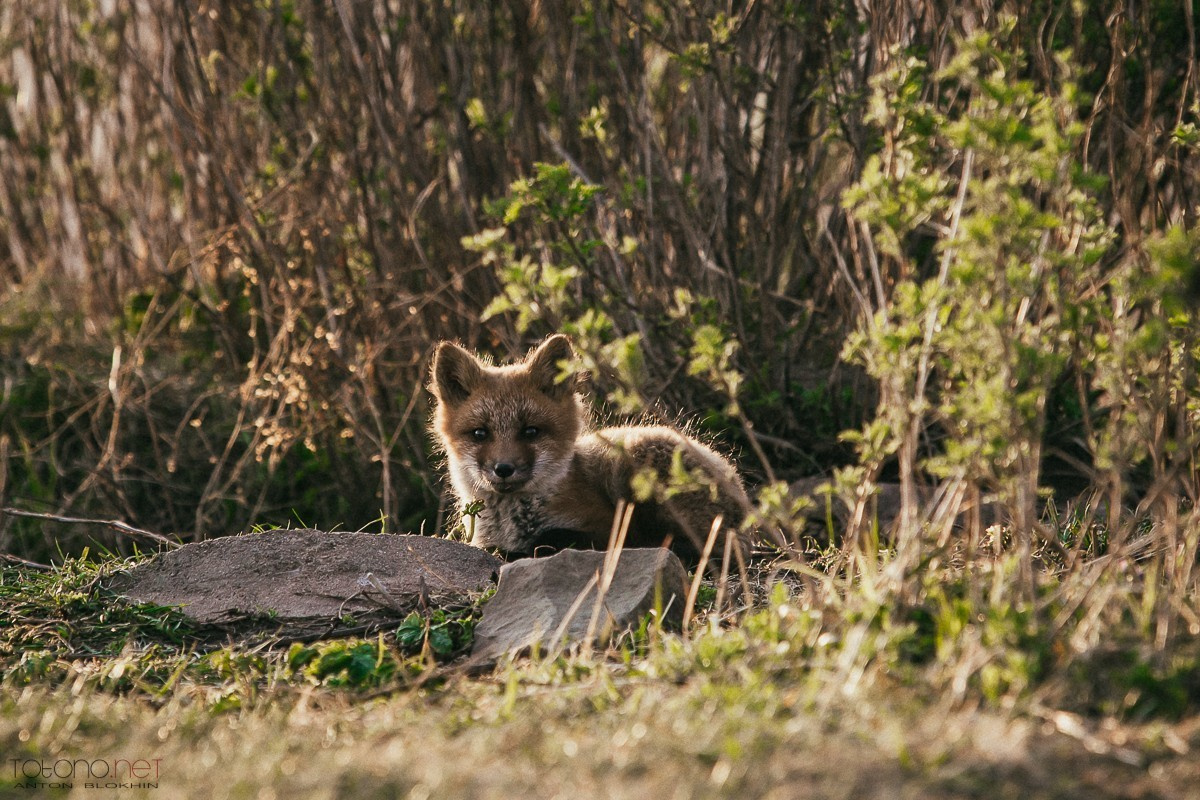 ТОЛЬКО МЫ И МОРЕ…. Фотограф во Владивостоке Антон Блохин