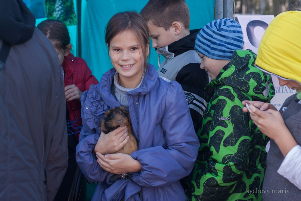 Ярмарка талантов. Детский и семейный фотограф, фотограф мероприятий Нижний Новгород