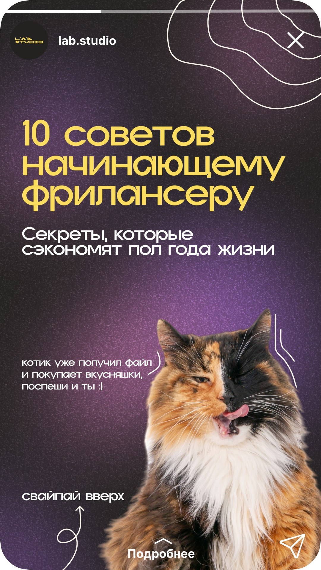 Веб и UX/UI. Фотограф Алёна Корнеева