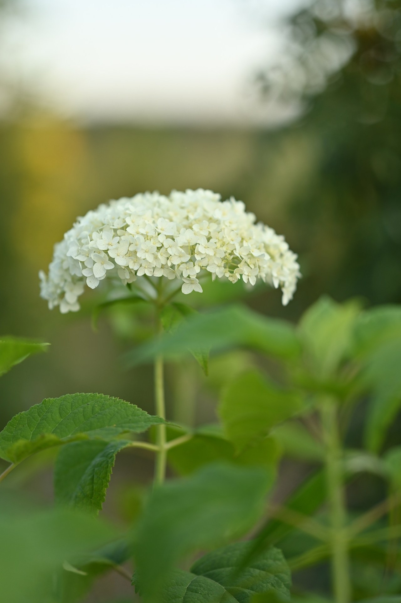 Отзывы. Фотограф Духина Наташа