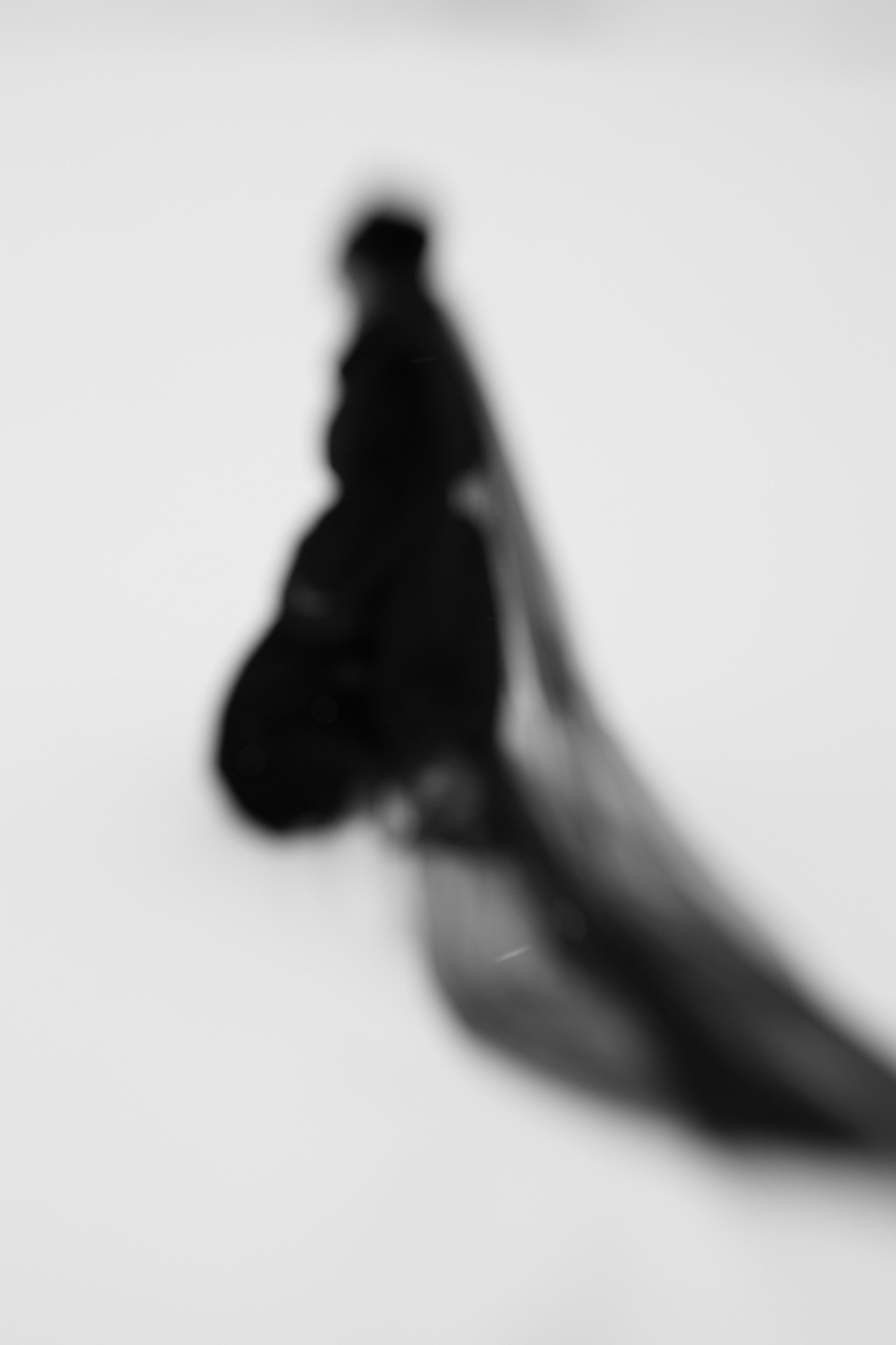 КАЛИНИНГРАД «ОЧЕРТАНИЕ РЕАЛЬНОСТИ». ARTEXPOPHOTO