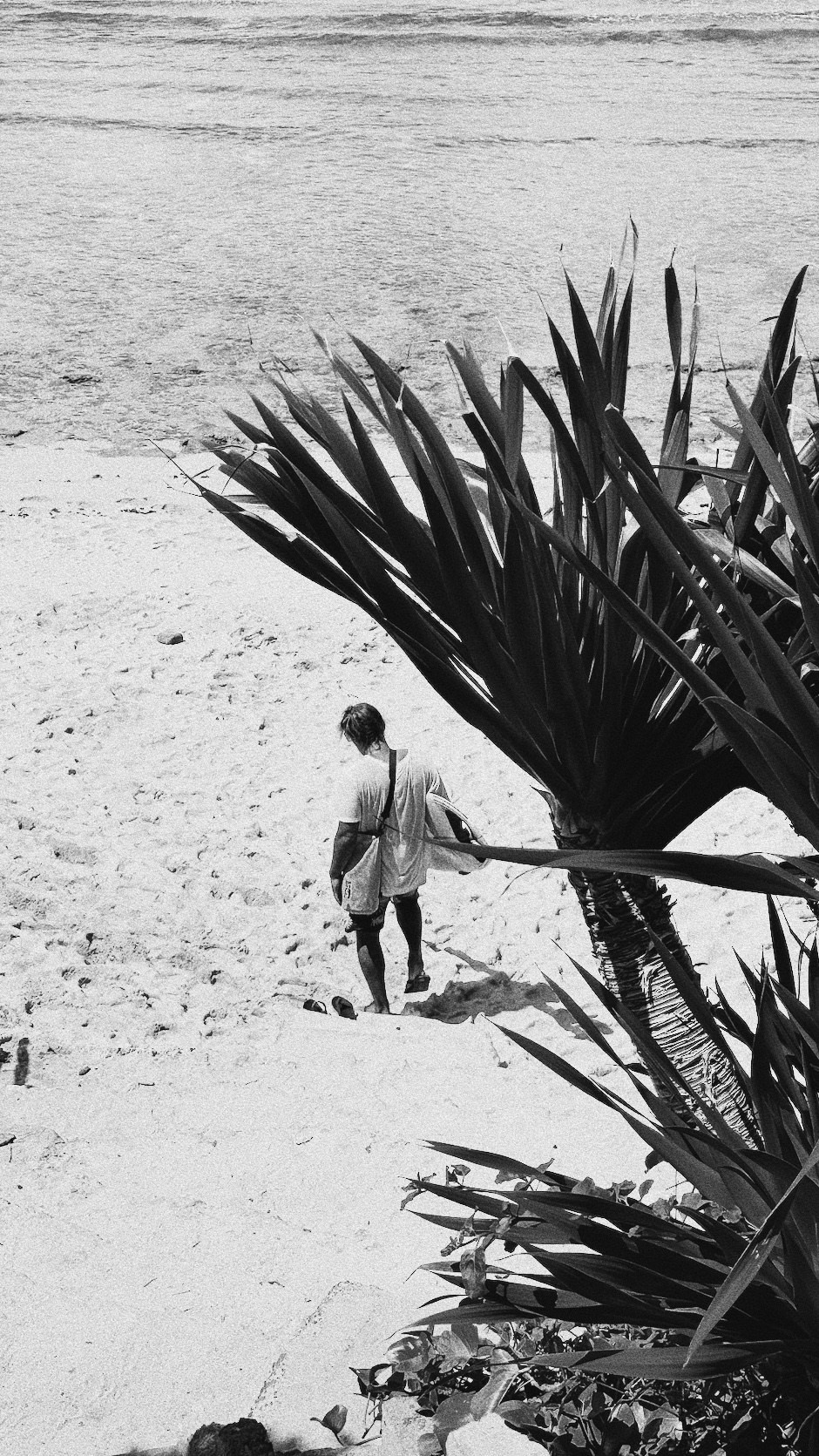 SOMEWHERE. Carolinetru