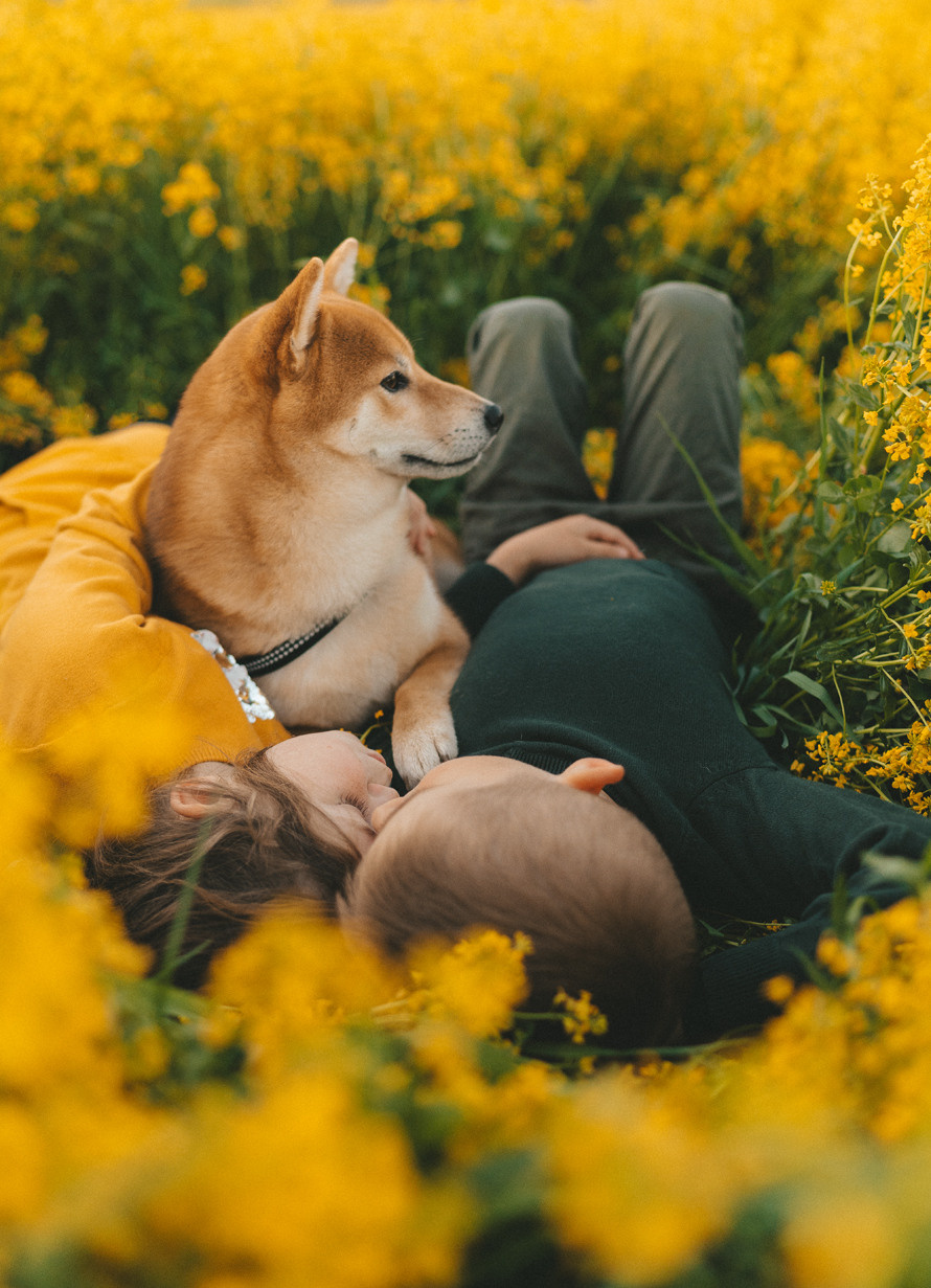 Семейные истории. Главная