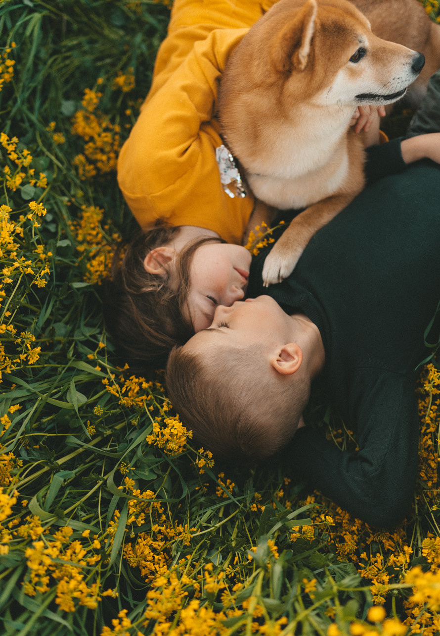 Семейные истории. Главная