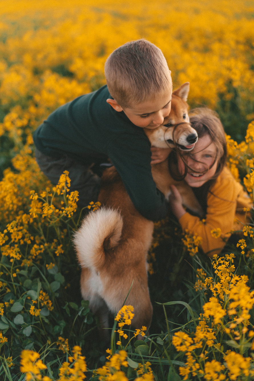 Семейные истории. Главная