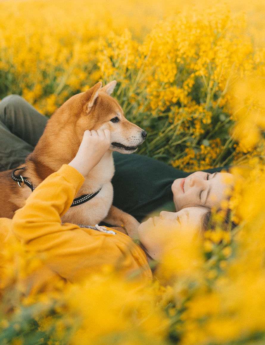 Семейные истории. Главная