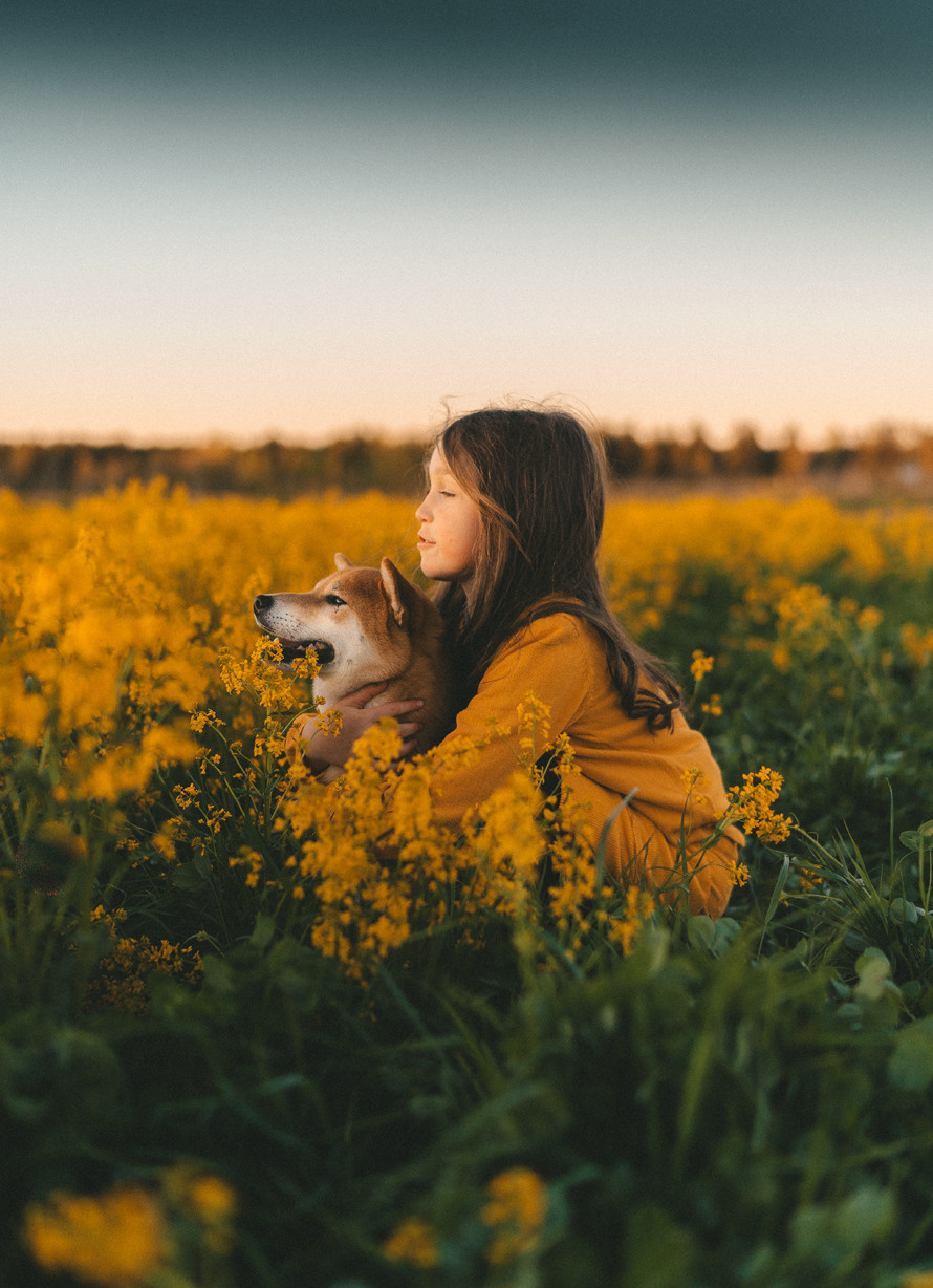 Семейные истории. Главная