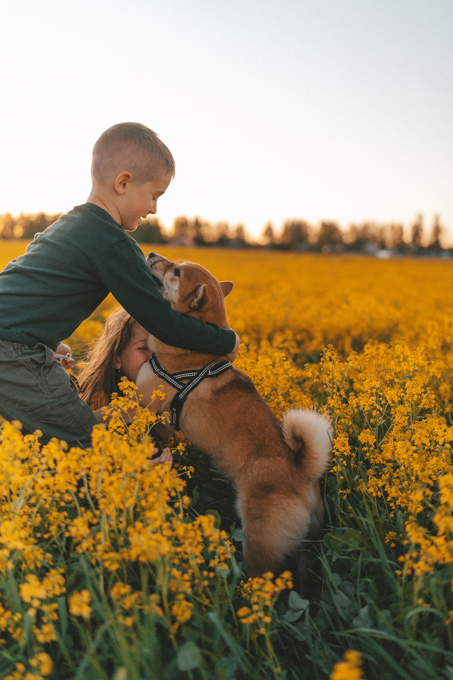 Семейные истории. Главная