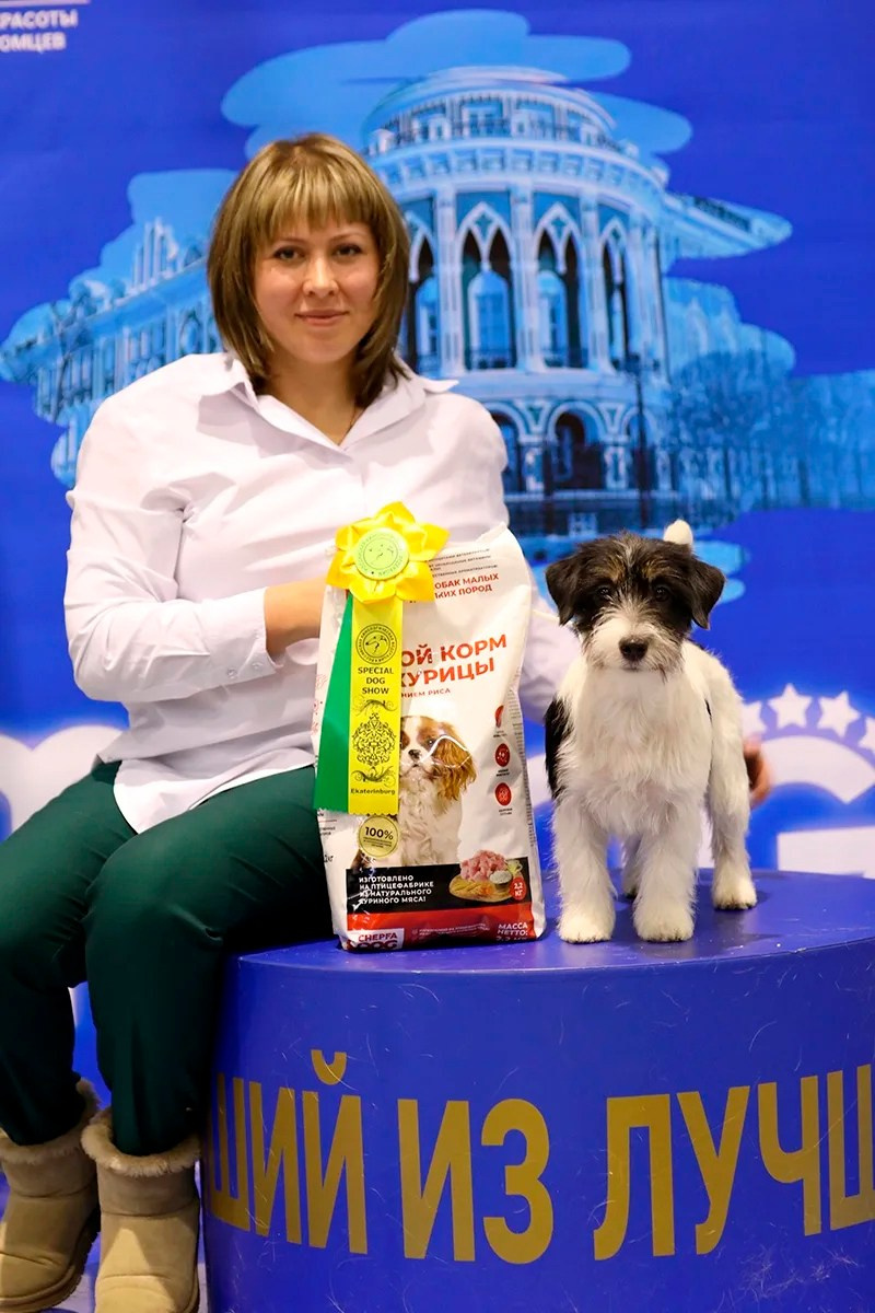 Port Fortis Destiny Of Love