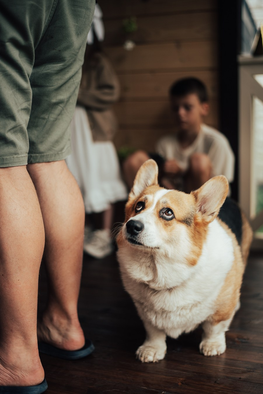 Годик | на даче