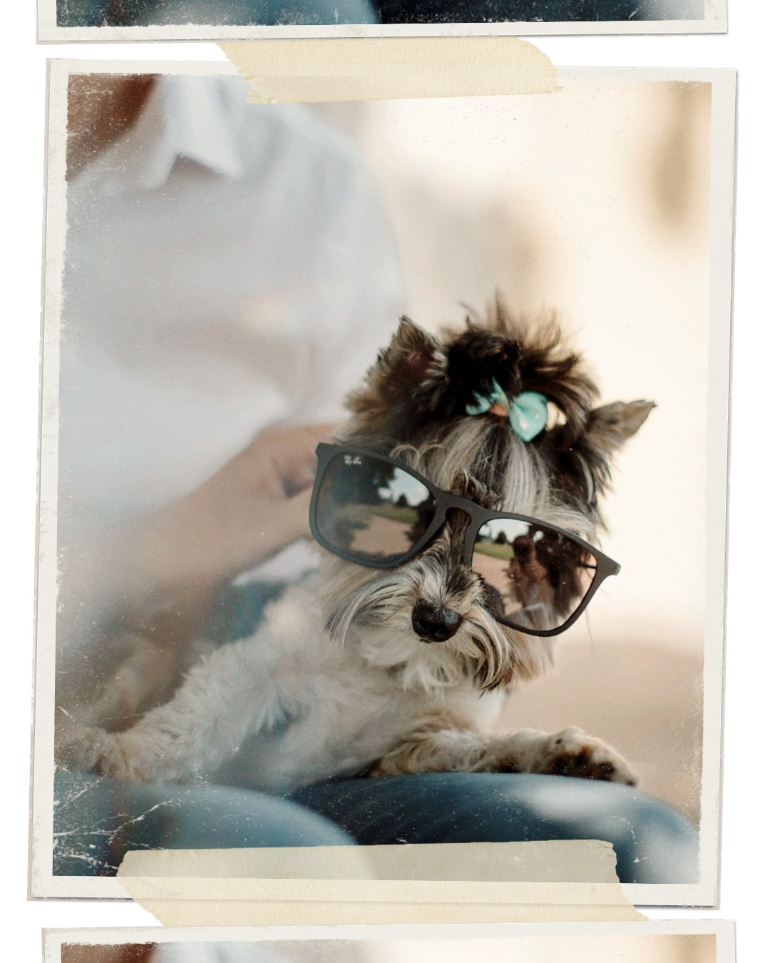 ИРИША и АЛЕКСАНДР. Свадебный и семейный фотограф РИТА БОЧКАРЁВА