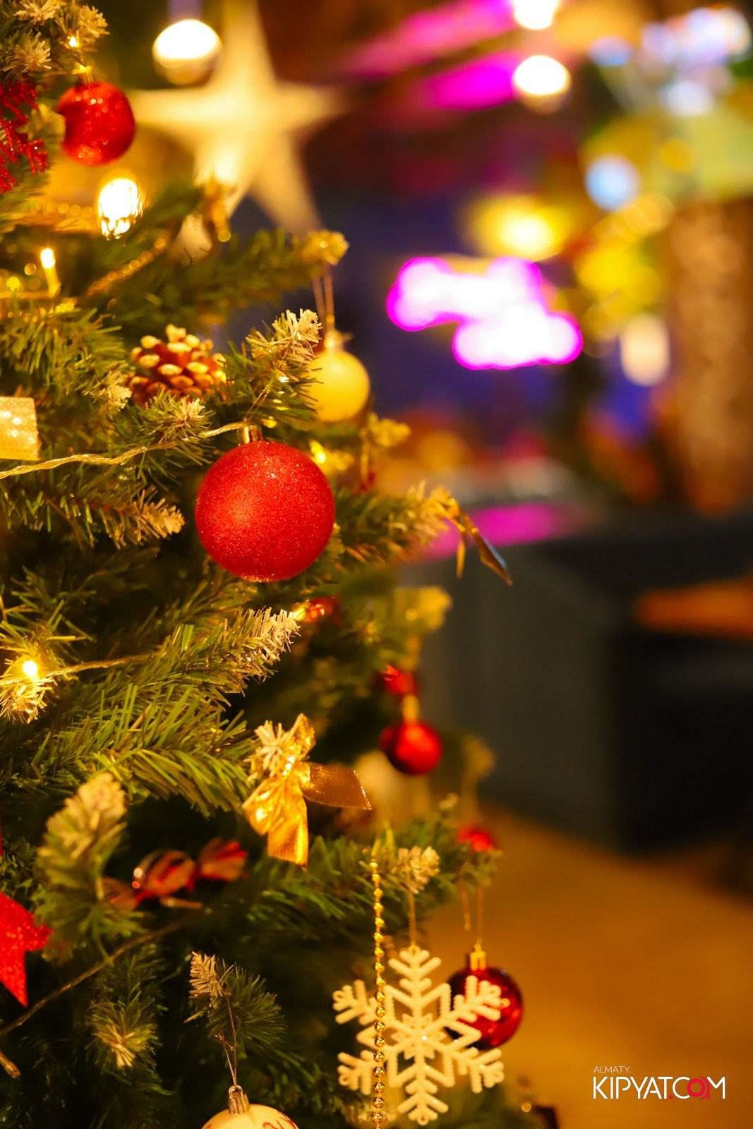 VICE CITY. КИПЯТКОМ АЛМАТЫ! Фотосъемка мероприятий в Алматы