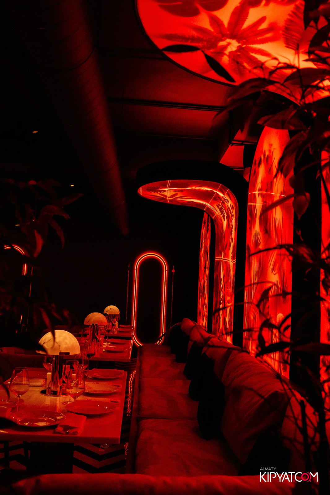 QUEEN. КИПЯТКОМ АЛМАТЫ! Фотосъемка мероприятий в Алматы