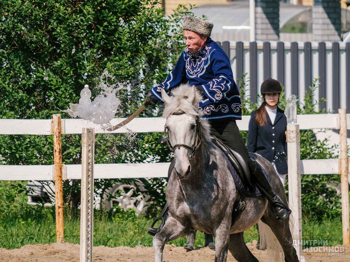 Скачки фаворитов 2024