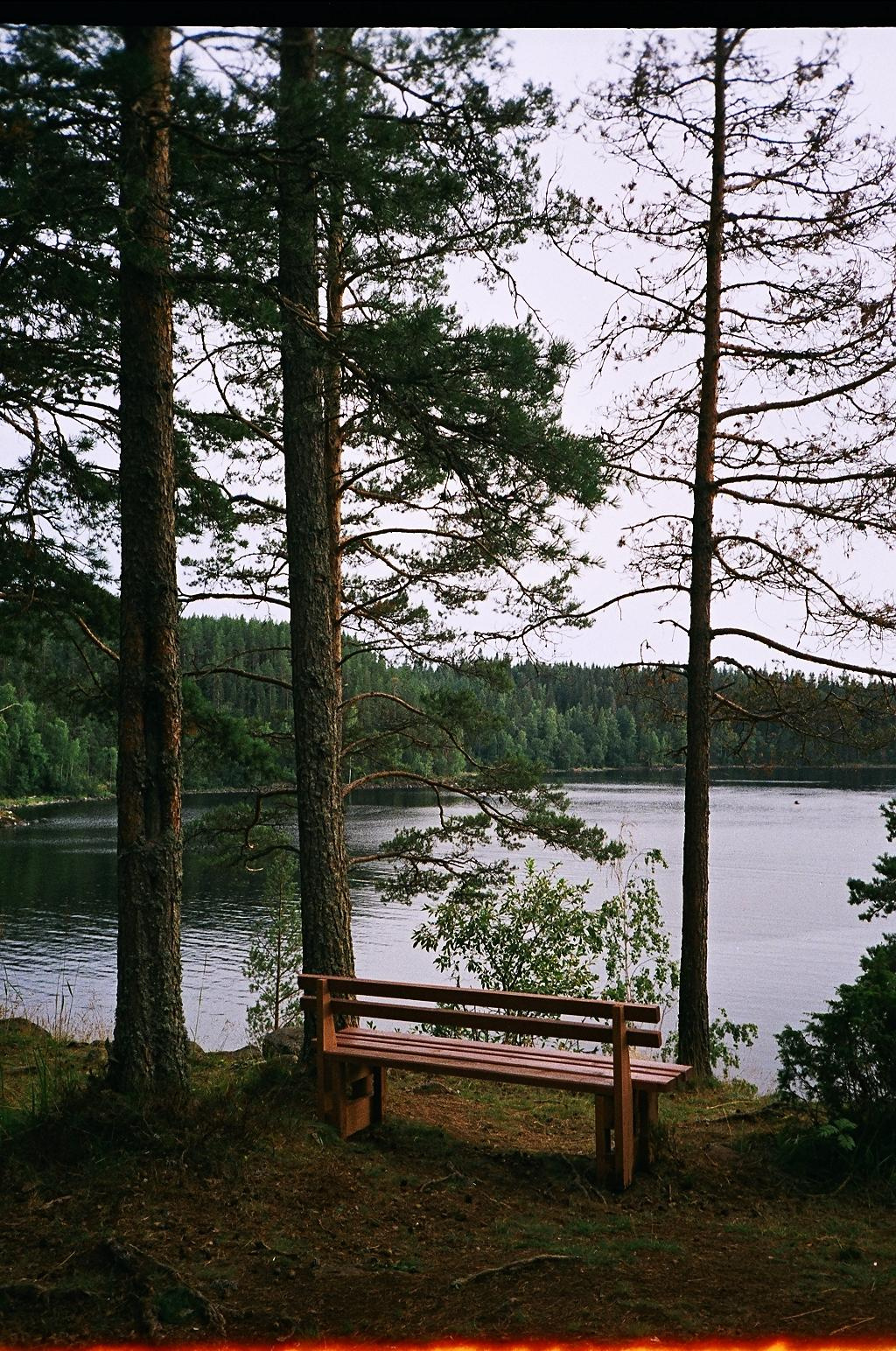 Плёнка. Фотограф в Нижнем Новгороде Полина Гурьянова